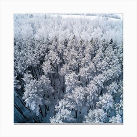 Aerial View Of Snowy Forest Canvas Print