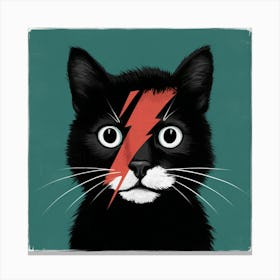 Cat With Lightning Bolt 1 Canvas Print