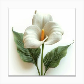 White Calla Lily Stampe su tela