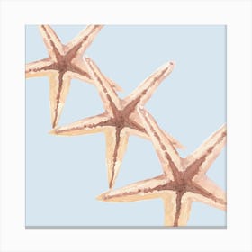 Starfish Canvas Art Canvas Print