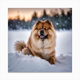 Heidi the Chow Canvas Print