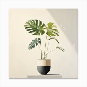 Monstera Plant Canvas Print