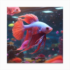 Brightly Colored Betta Fish Canvas Print