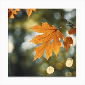 Autumn Leaves 2 Canvas Print