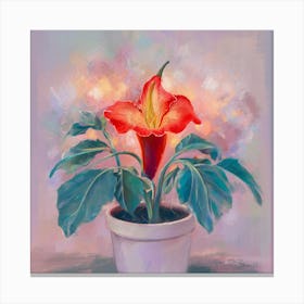 Calla Lily Canvas Print