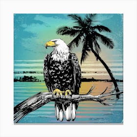 Bald Eagle At Sunset Canvas Print