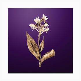 Gold Botanical Water Canna on Royal Purple Canvas Print