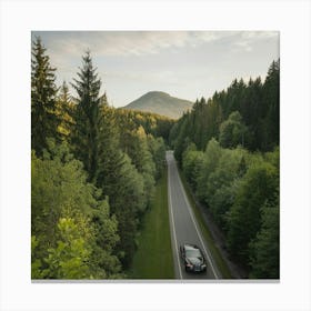 A Beautiful Green Forest And Mountain Canvas Print