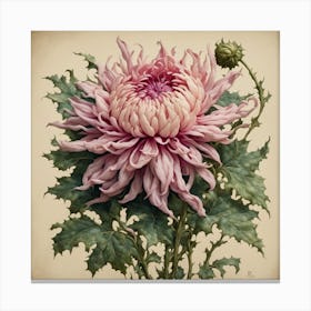 Chrysanthemum 2 Canvas Print