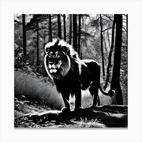 Lion In The Forest 35 Canvas Print