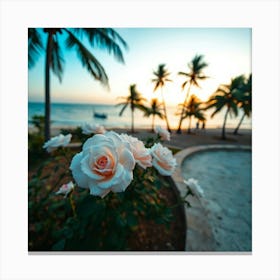 Sunset Roses On The Beach Canvas Print