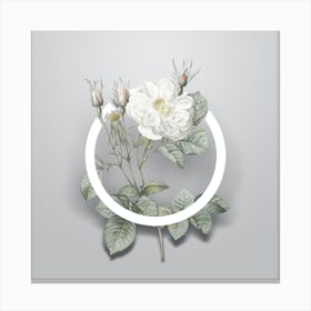 Vintage White Rose of York Minimalist Floral Geometric Circle on Soft Gray n.0006 Canvas Print