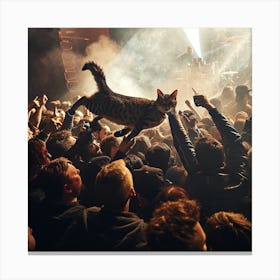 Cat On Stage 4 Canvas Print