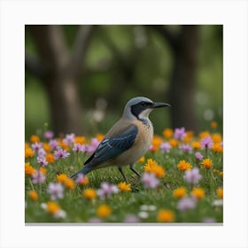 Blue Jay Canvas Print