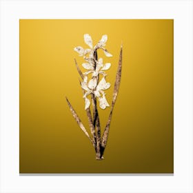 Gold Botanical Yellow Banded Iris on Mango Yellow Canvas Print
