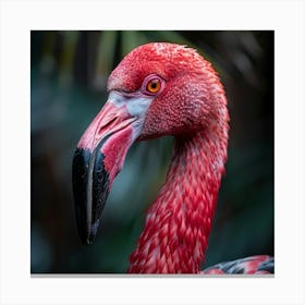 Flamingo 38 Canvas Print