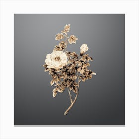 Gold Botanical Ventenat's Rose on Soft Gray n.1338 Canvas Print