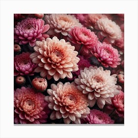 Chrysanthemums flowers Canvas Print