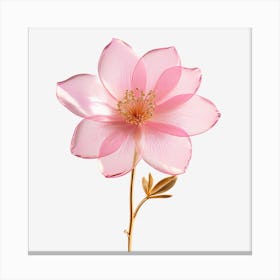 Pink Sheer Flower Trimmed In Gold Glitter With A Stem On A Plain White Background 3d 193313612 Canvas Print