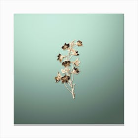 Gold Botanical Shewy Delphinium Flower on Mint Green n.3941 Canvas Print