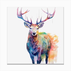 Deer Watercolor Painting 3 Canvas Print