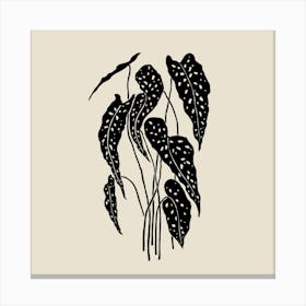 Monochromatic Foliage II Canvas Print