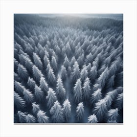 Snowy Forest 18 Canvas Print