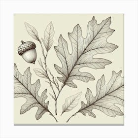 Line Art oak leaves 2 Canvas Print