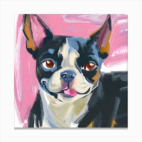 Boston Terrier 02 Canvas Print