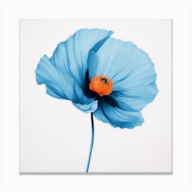 Blue Poppy Canvas Print