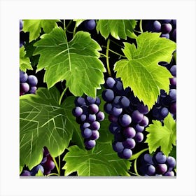 Black Grapes Canvas Print