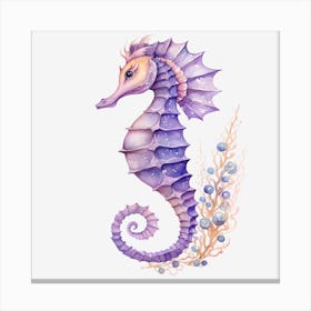 Seahorse 1 Canvas Print