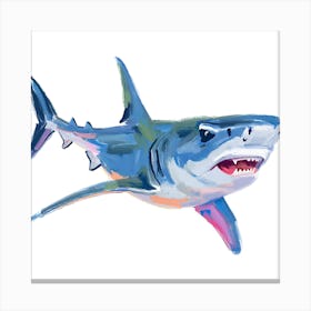 Hammerhead Shark 03 Canvas Print