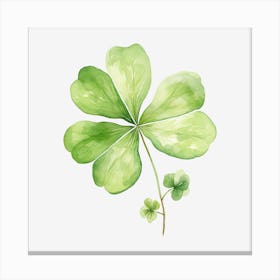 Four Leaf Clover Canvas Print