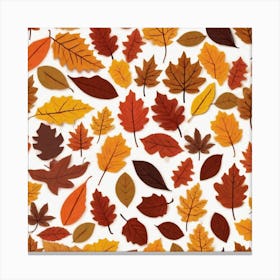 Autumn Leaves 22 Canvas Print