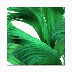 Aesthetic style, Green waves of palm leaf 4 Canvas Print