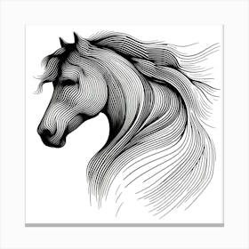 Horse Head Vector Illustration Canvas Print