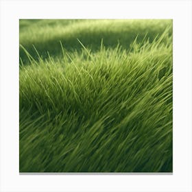 Green Grass 25 Canvas Print