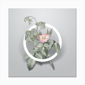 Vintage Apple Rose Minimalist Botanical Geometric Circle on Soft Gray Canvas Print