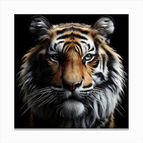 Tiger Portrait isolated on black background 3 Canvas Print