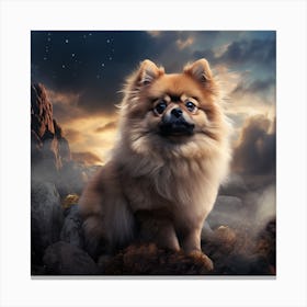 Pomeranian Canvas Print