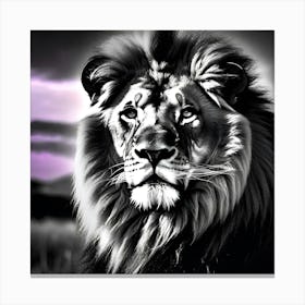 Lion Portrait 5 Canvas Print
