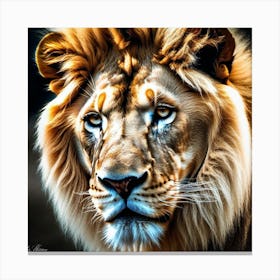 Lion Portrait 27 Canvas Print