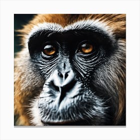 Close Up Of A Monkey 1 Canvas Print