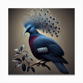 Pigeon Canvas Print