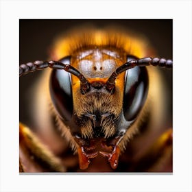 Bee Portrait 2 Canvas Print