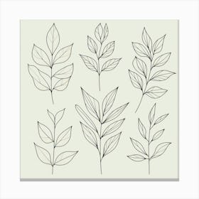 Leaf Set Canvas Print