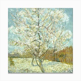 Van Gogh 80 Canvas Print