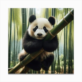 Panda Bear In Bamboo Forest 2 Canvas Print