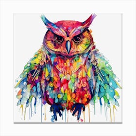 Colorful Owl 7 Stampe su tela